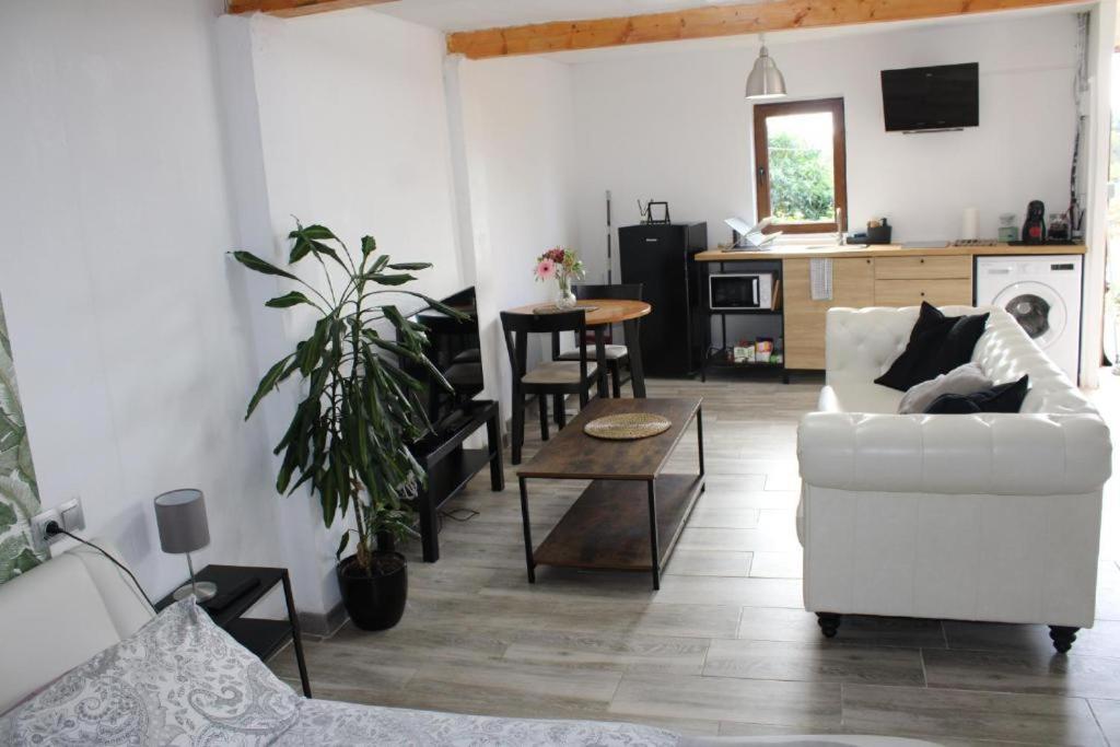 Casa Loft